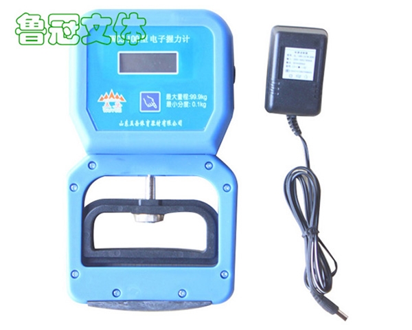 LG-WSQC0029電子握力計