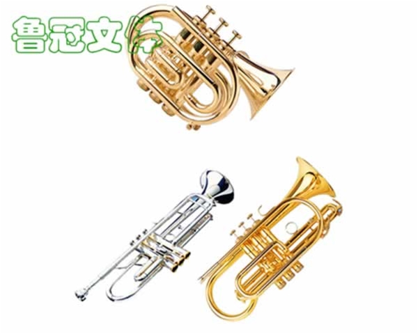 LG-YYQC0017小號(hào)