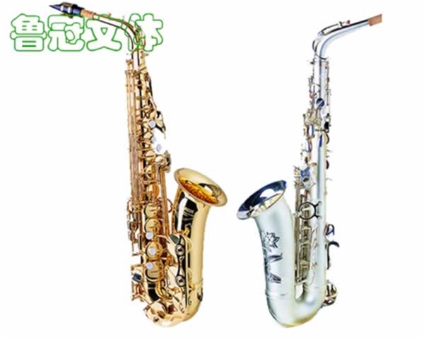 LG-YYQC0031薩克斯